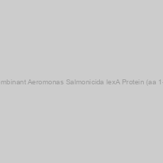 Image of Recombinant Aeromonas Salmonicida lexA Protein (aa 1-207)